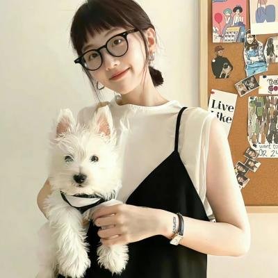 入伍前的疯狂 封面