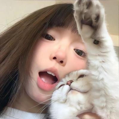 疯狂的麦咭第八季 封面